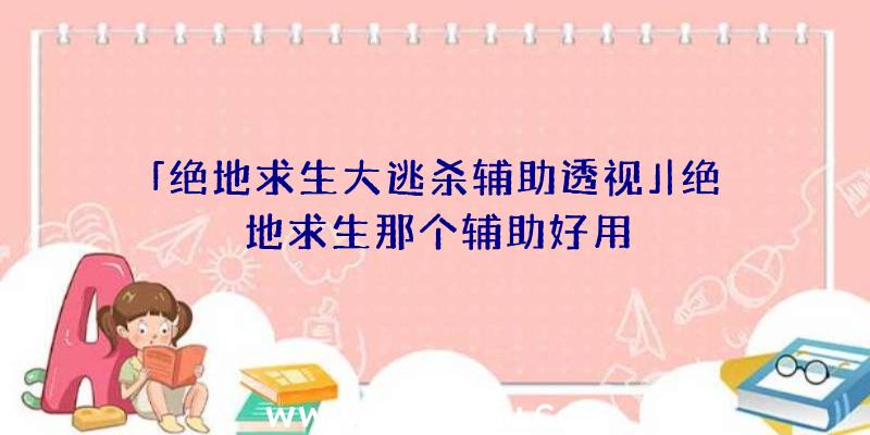 「绝地求生大逃杀辅助透视」|绝地求生那个辅助好用